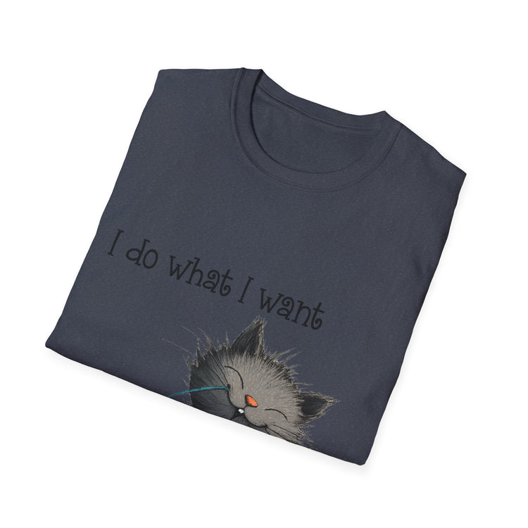 I Do What I Want Unisex Softstyle T-Shirt, Funny Cat Tee, Gift for Cat Lovers, Casual Wear, Everyday Shirt, Pet Lover Apparel