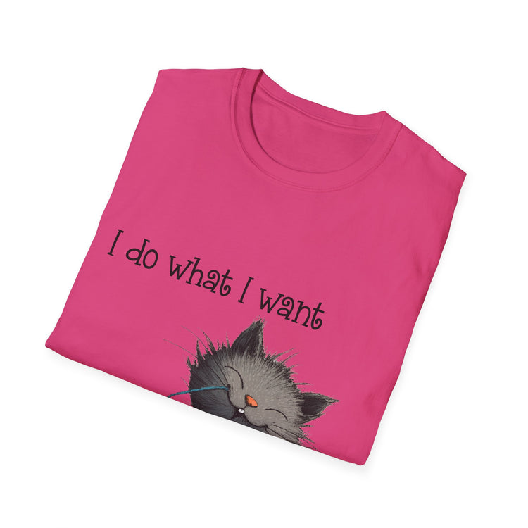 I Do What I Want Unisex Softstyle T-Shirt, Funny Cat Tee, Gift for Cat Lovers, Casual Wear, Everyday Shirt, Pet Lover Apparel