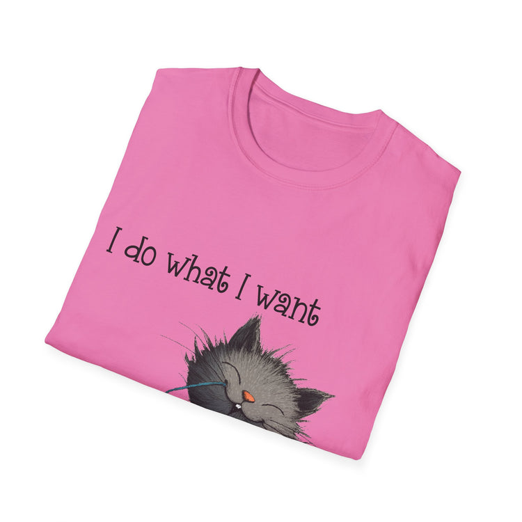 I Do What I Want Unisex Softstyle T-Shirt, Funny Cat Tee, Gift for Cat Lovers, Casual Wear, Everyday Shirt, Pet Lover Apparel