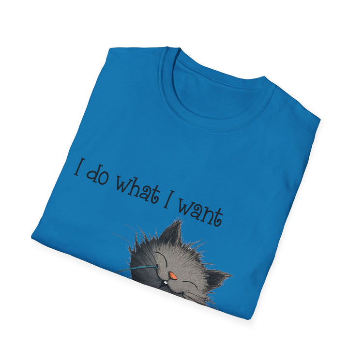I Do What I Want Unisex Softstyle T-Shirt, Funny Cat Tee, Gift for Cat Lovers, Casual Wear, Everyday Shirt, Pet Lover Apparel