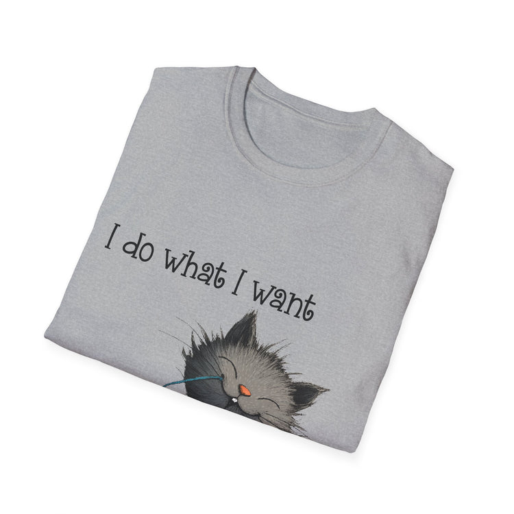 I Do What I Want Unisex Softstyle T-Shirt, Funny Cat Tee, Gift for Cat Lovers, Casual Wear, Everyday Shirt, Pet Lover Apparel