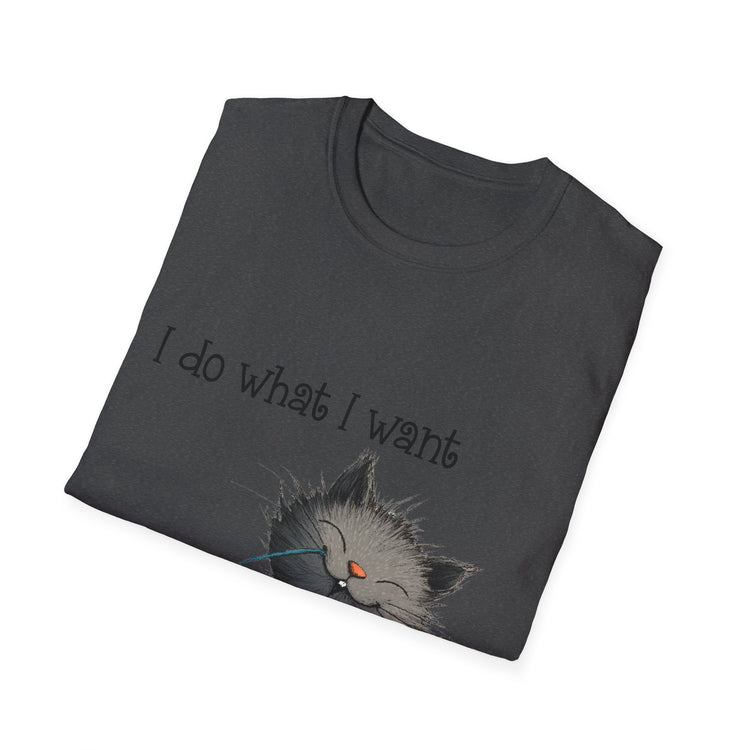 I Do What I Want Unisex Softstyle T-Shirt, Funny Cat Tee, Gift for Cat Lovers, Casual Wear, Everyday Shirt, Pet Lover Apparel