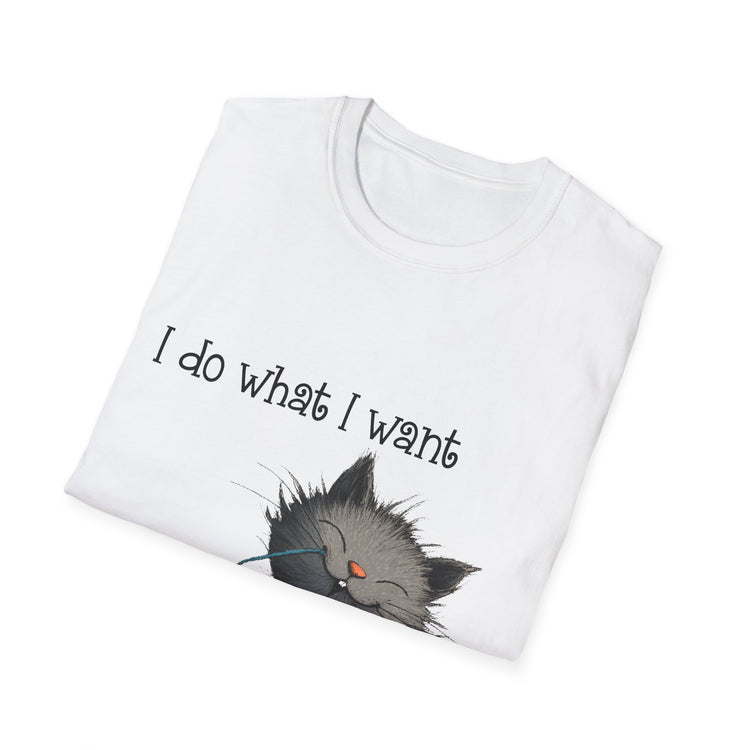I Do What I Want Unisex Softstyle T-Shirt, Funny Cat Tee, Gift for Cat Lovers, Casual Wear, Everyday Shirt, Pet Lover Apparel