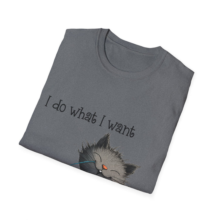 I Do What I Want Unisex Softstyle T-Shirt, Funny Cat Tee, Gift for Cat Lovers, Casual Wear, Everyday Shirt, Pet Lover Apparel