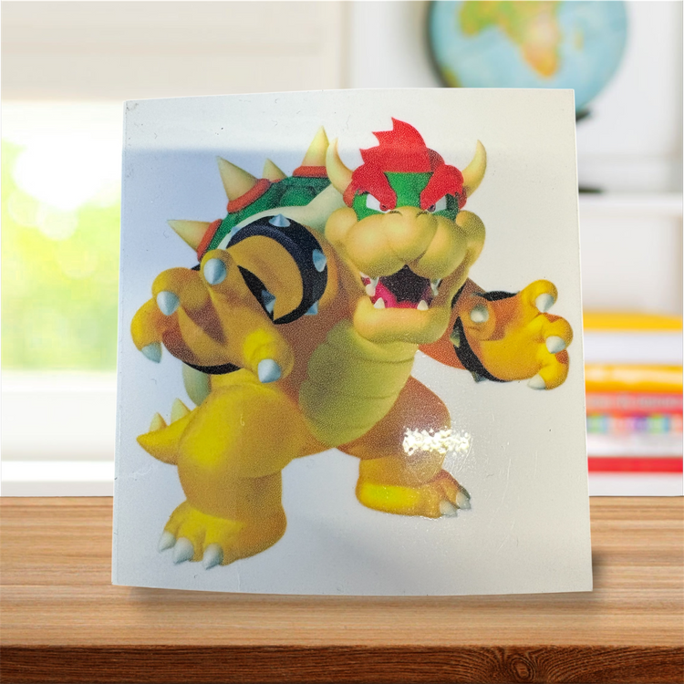 Fridge Magnets